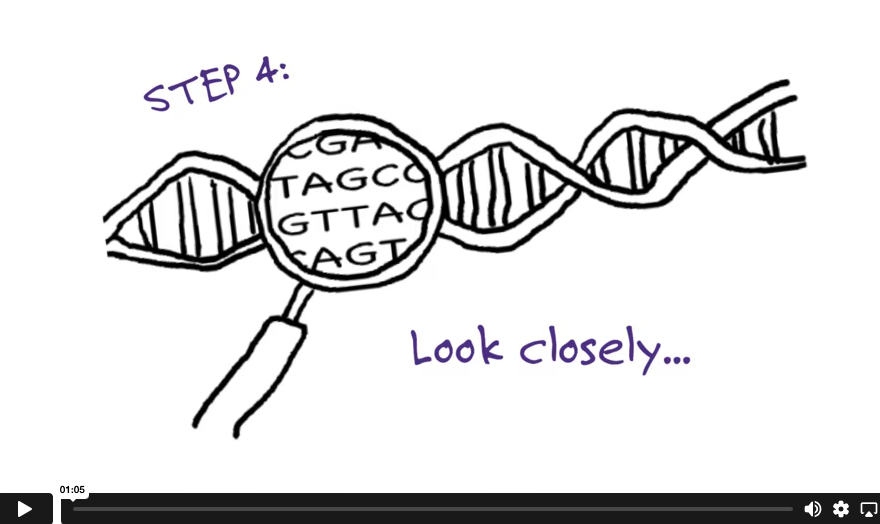 Diagram of a close-up of DNA, part of genetic testing