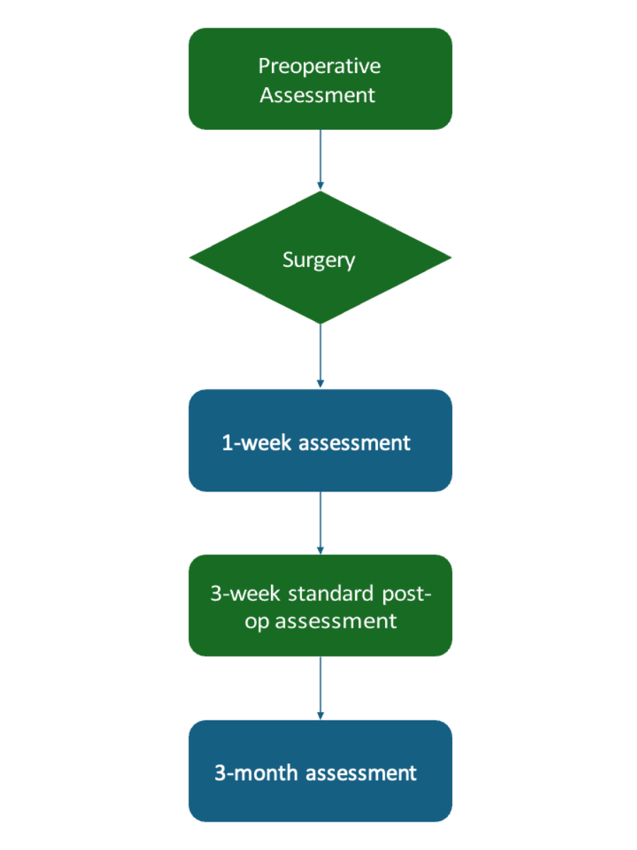 Main study diagram