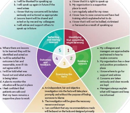 Detailed freedom to speak up infographic